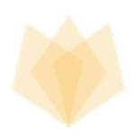 Nexus Quality