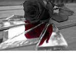 fygcecNGFDVBBNjsjshbe22wsnjfkfk