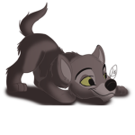 Cloudyy Wolves