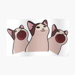 bcolls gaming group