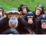 Mique Family