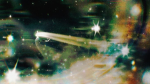 Cats from THE moon