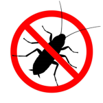 #SAY NO TO COCKROACHES
