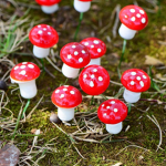 Mushrooms!!.
