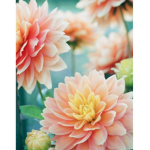 Forever Flowers!
