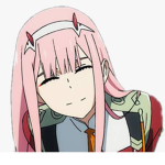 DARLING IN THE FRANXX FAN