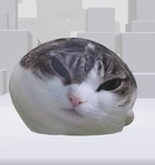 BettinaBho Group Thumbnail
