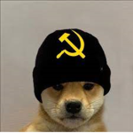 The Max Club Boi
