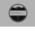 gaming champions_-_-