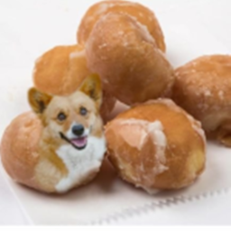 Corgi Clothing Store! (ITS BACK!!!)