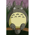 Totoros thing!