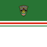 Chechen Police Force