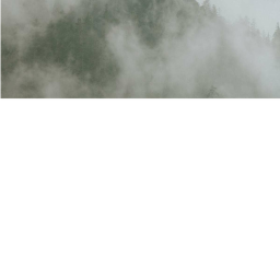 Fog.