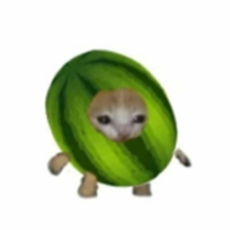 Donate for WaterMelon Kitty