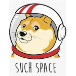 Project SpaceDoge