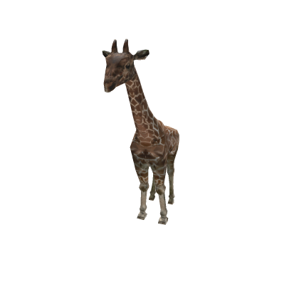 lifesize Giraffe