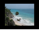XTropicalXvibesX