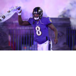 NFL Official Fan Group
