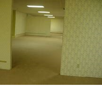 Backrooms Survival ( shrek update )