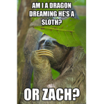 Dragon sloth team