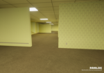 The best backrooms game ever join pls