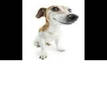 RPG di difficoltà delle pizze