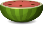 Melon Venom Studios