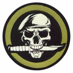 the roblox special forces squadron