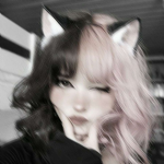 Shop lily