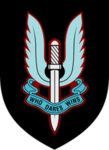 Special air service 1940’s