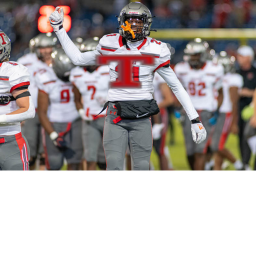 T Field