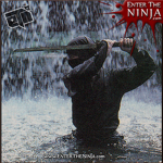 mega ninjas