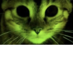 The conspiracies of toxy