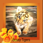Bossy-T1gers