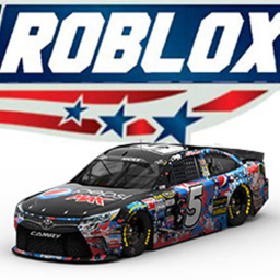 Nascar chaos!
