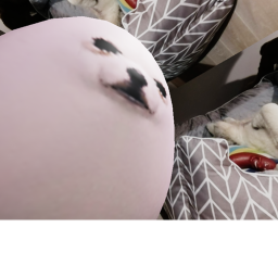 EGGDOG's Place
