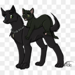Wolf's and cats pack