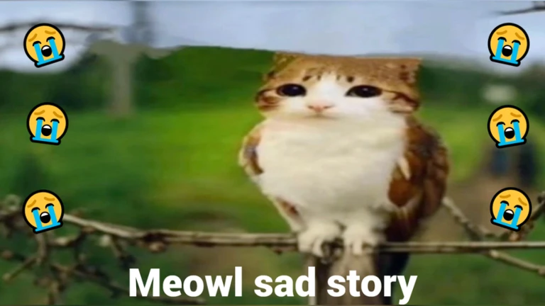 [UPD] Meowl Sad Story