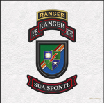 2010 | 75th Rangers Regiment