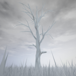 Winters