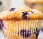blueberry muffin studios