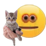 tem frend group :)