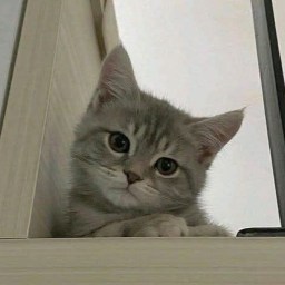 ♡