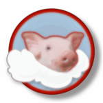 PeekingPig Studios