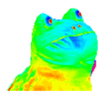 ggplayer12345678910's Place