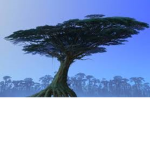 ~Hometree~