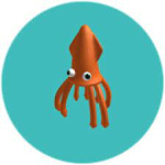 squidzzzzzz