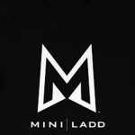 Mini Ladd Fans