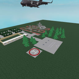 Training