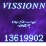 VISSIONN